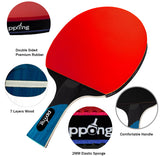 Silver Edition Ping Pong Set  2 bats & 3 balls